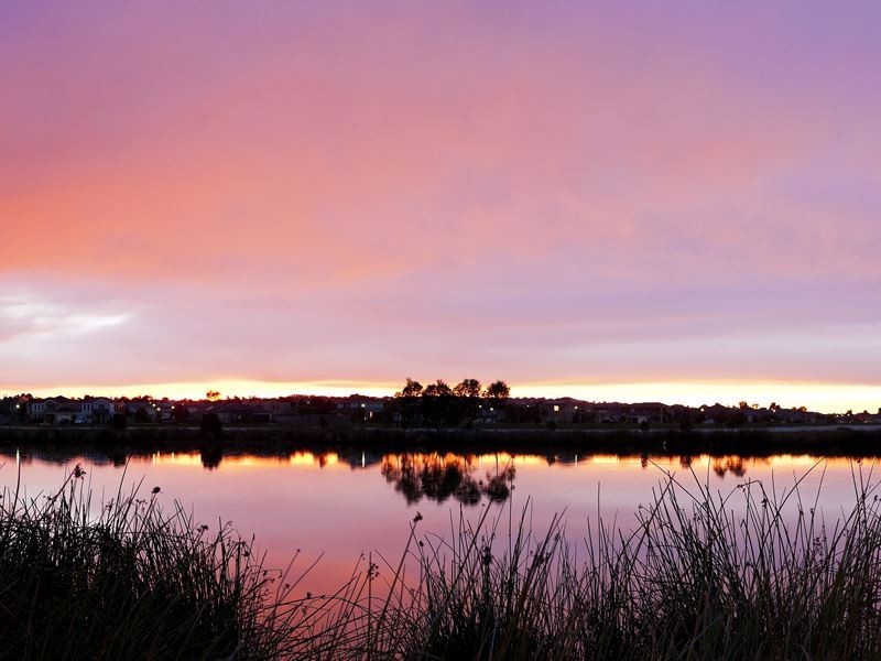 53 Leyland Drive, Narre Warren South VIC 3805