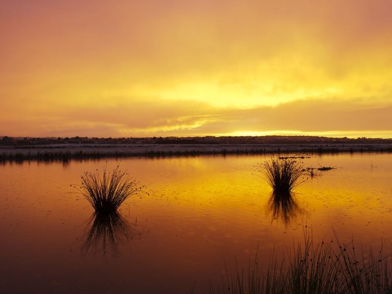 11 Leyland Drive, Narre Warren South VIC 3805