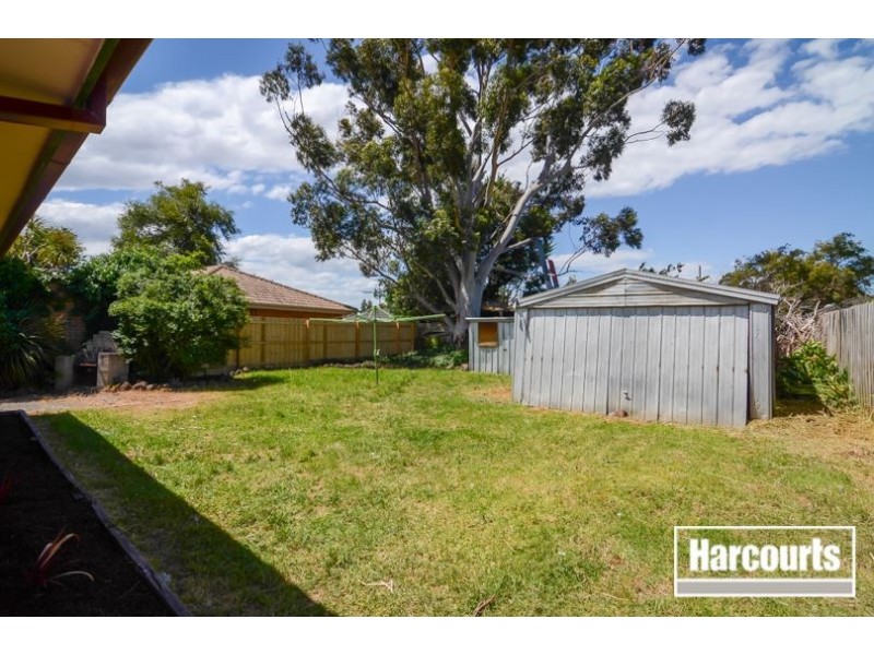 18 Circle dr north, Cranbourne VIC 3977