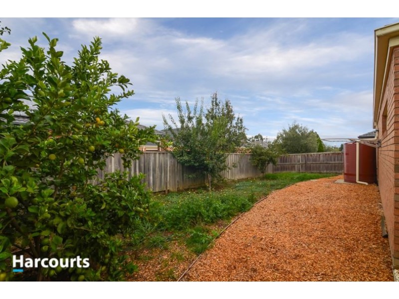 16 Misty Close, Berwick VIC 3806