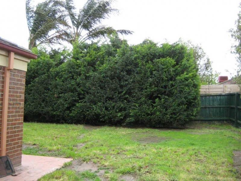 59 Harrington Drive, Narre Warren South VIC 3805