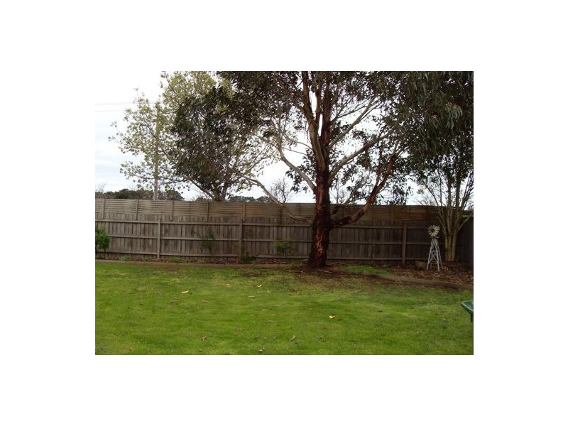 17 Caroline Crescent, Cranbourne VIC 3977