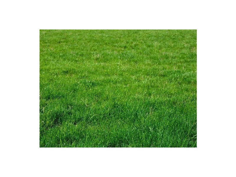 Lot/306 Dusseldorp Avenue, Pakenham VIC 3810