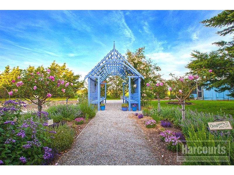 57 Coop Road, Pakenham VIC 3810