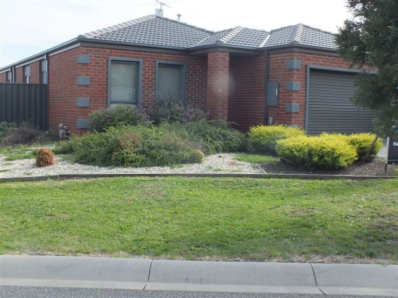 10 Elderberry Way, Pakenham VIC 3810