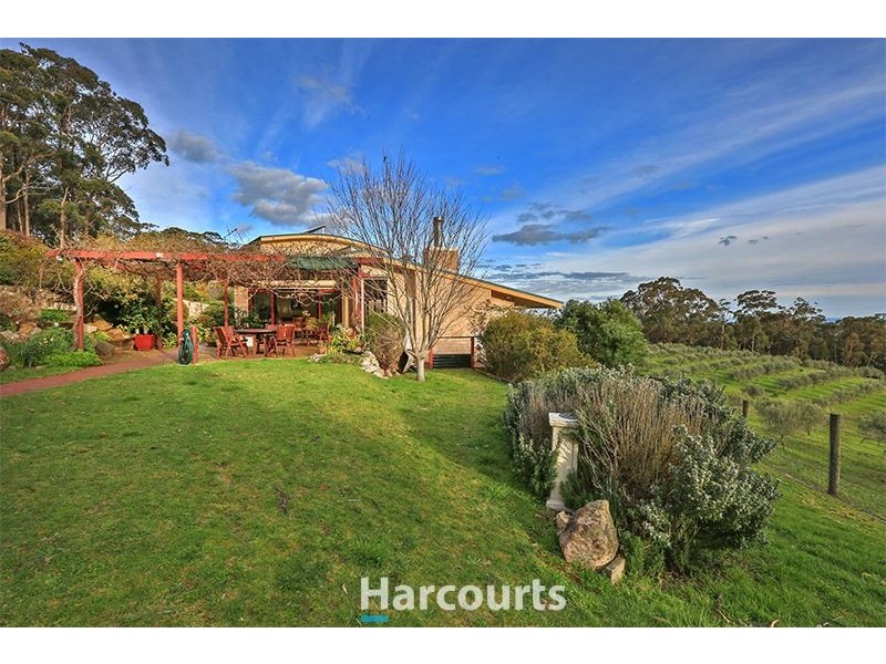 229 Bridal Road, Tonimbuk VIC 3815