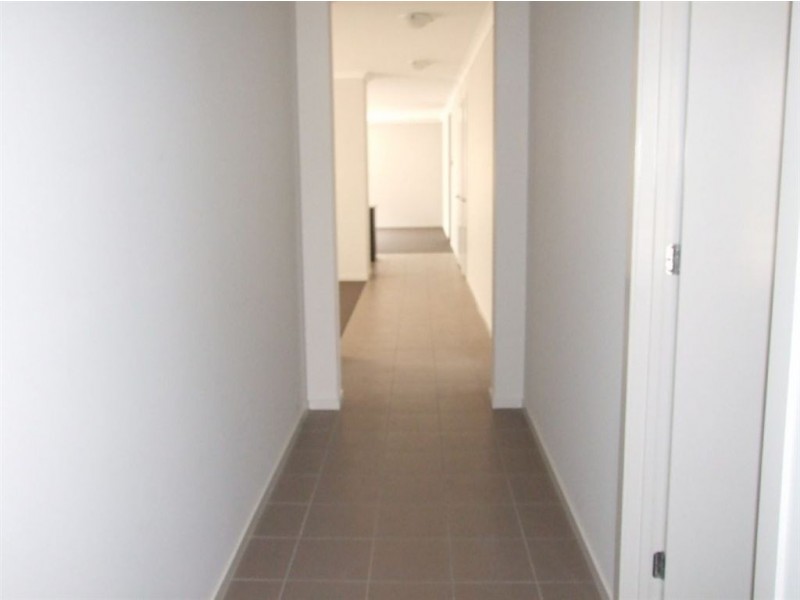20 Petrel Cct, Pakenham VIC 3810