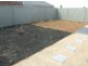 20 Petrel Cct, Pakenham VIC 3810