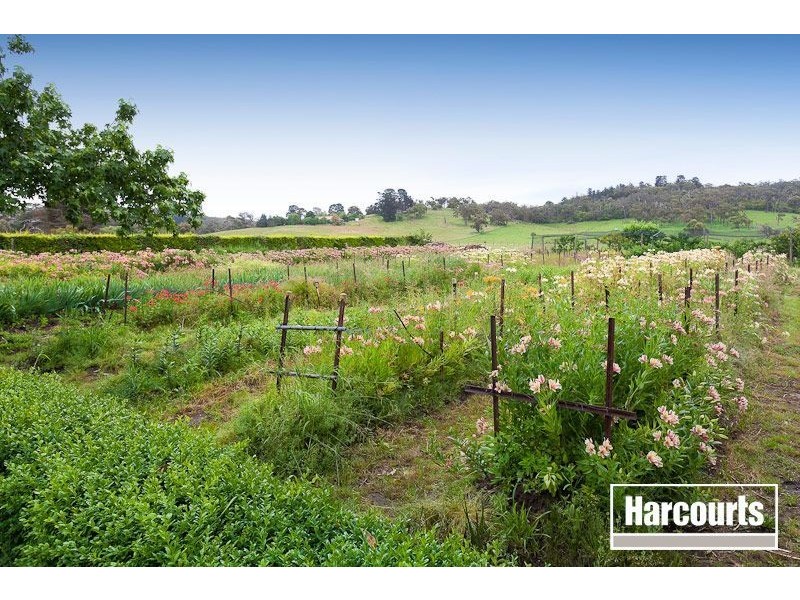 226 Toomuc valley Road, Pakenham VIC 3810