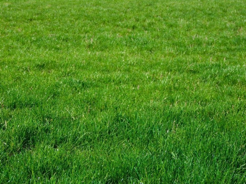 Lot 201/7 Canyon Avenue, Clyde VIC 3978