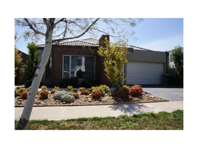 25 Rush Lily Drive, Officer VIC 3809