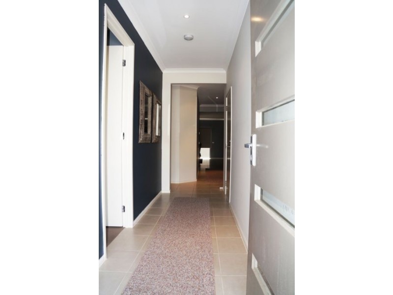 25 Rush Lily Drive, Officer VIC 3809