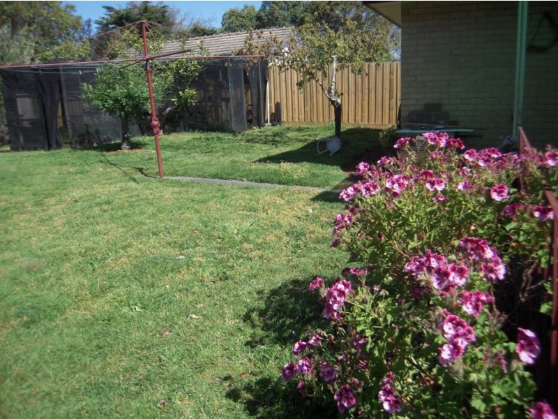 3 Rosebrook Avenue, Rosebud VIC 3939