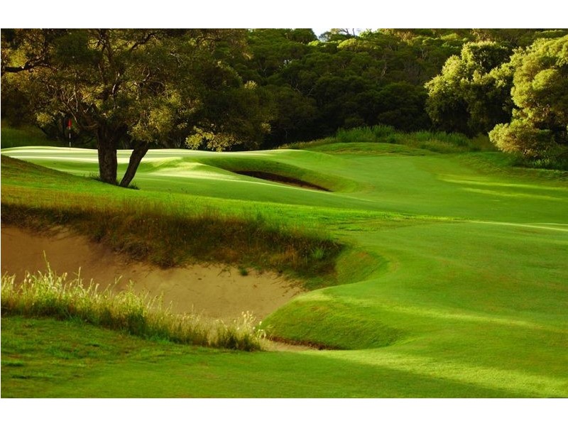 804 Turnberry Grove, Fingal VIC 3939