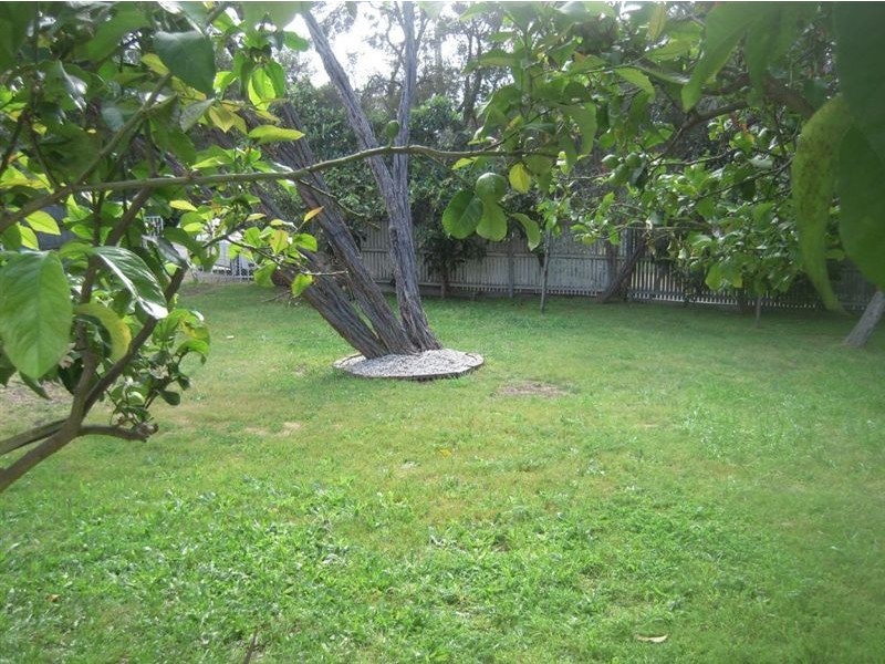 8 Chenier Street, Rye VIC 3941