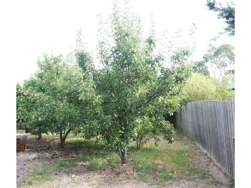 500 Eastbourne Road, Rosebud VIC 3939