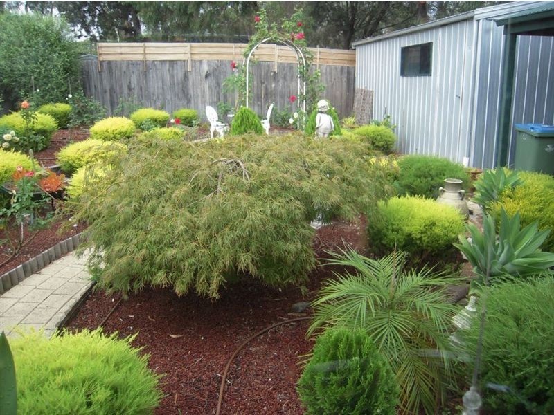 41 Nixon Street, Rosebud VIC 3939