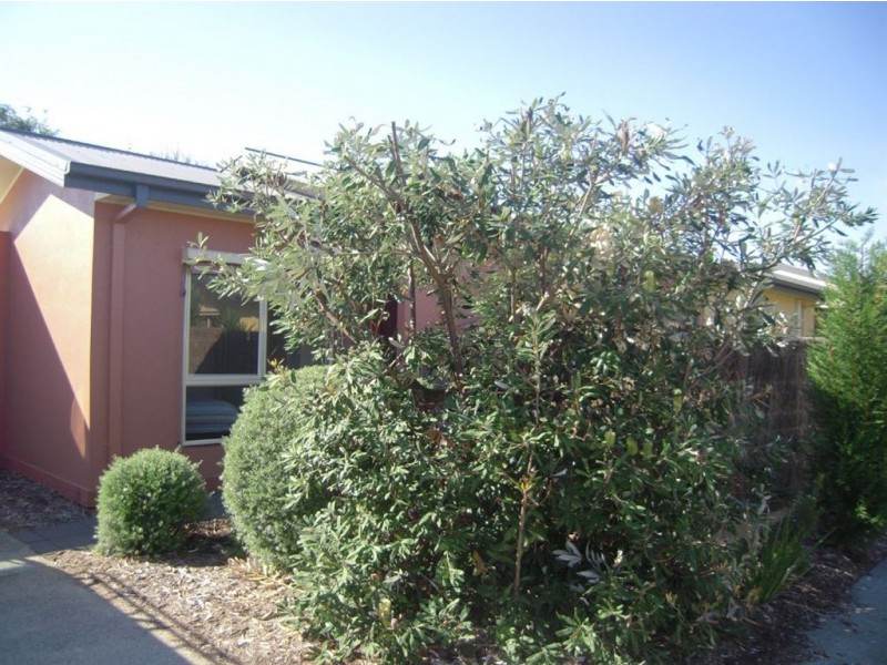 3/1771 Point Nepean Road, Rosebud VIC 3939