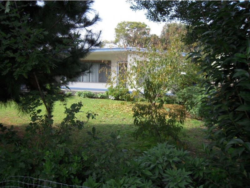 117 Rosebud Parade, Rosebud VIC 3939