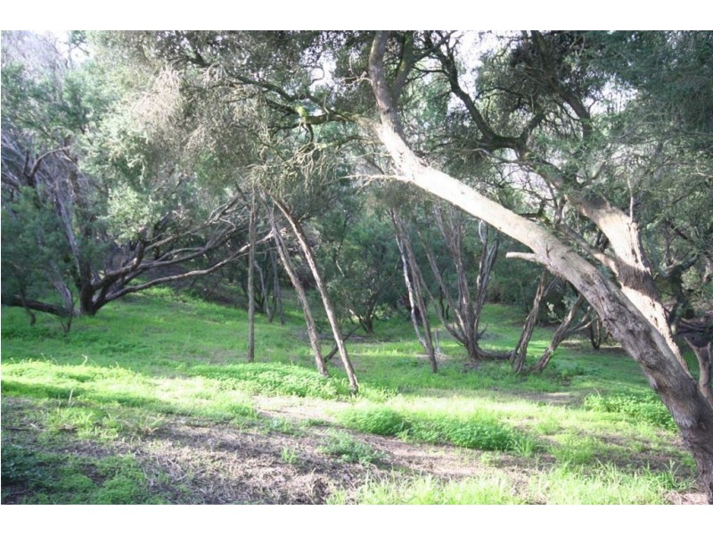 44 Alex Drive, St Andrews Beach VIC 3941