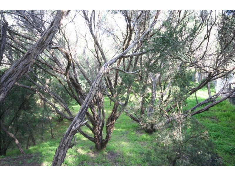 44 Alex Drive, St Andrews Beach VIC 3941