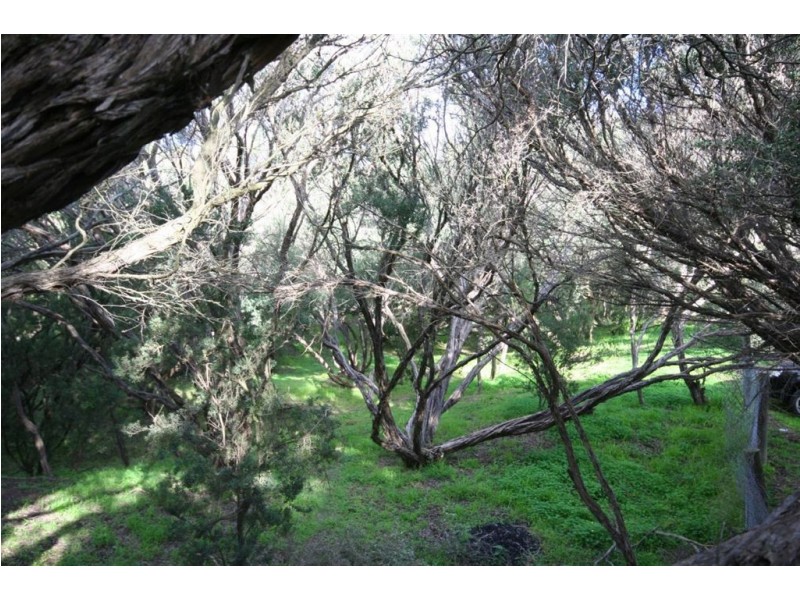 44 Alex Drive, St Andrews Beach VIC 3941