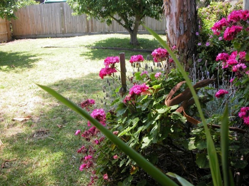 197 Sixth Avenue, Rosebud VIC 3939