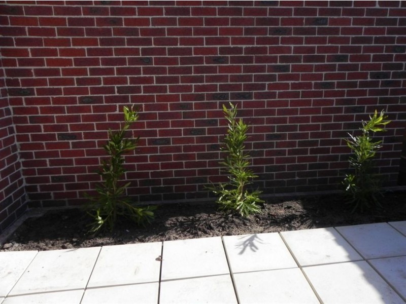 2/48 Armstrong Road, Mccrae VIC 3938