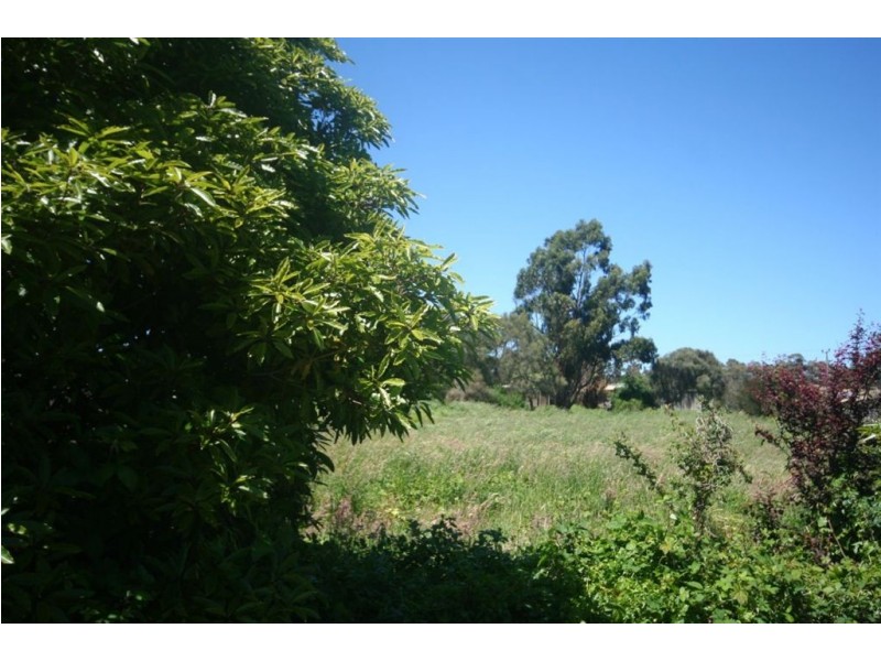 59 Fairway Grove, Rosebud VIC 3939