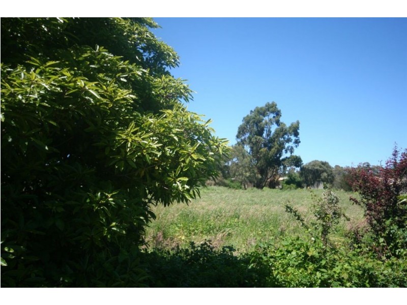 59 Fairway Grove, Rosebud VIC 3939