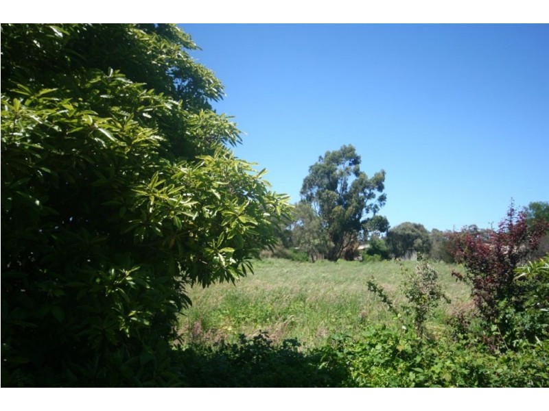 59 Fairway Grove, Rosebud VIC 3939