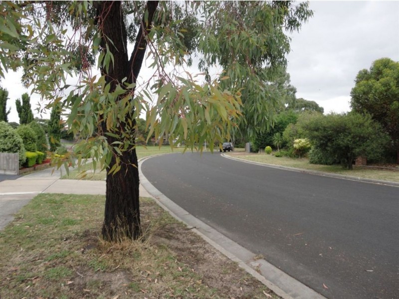 31 Parwan Crescent, Mornington VIC 3931