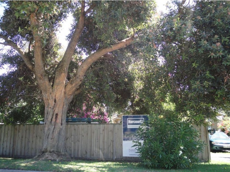 38 Mark Street, Rosebud VIC 3939