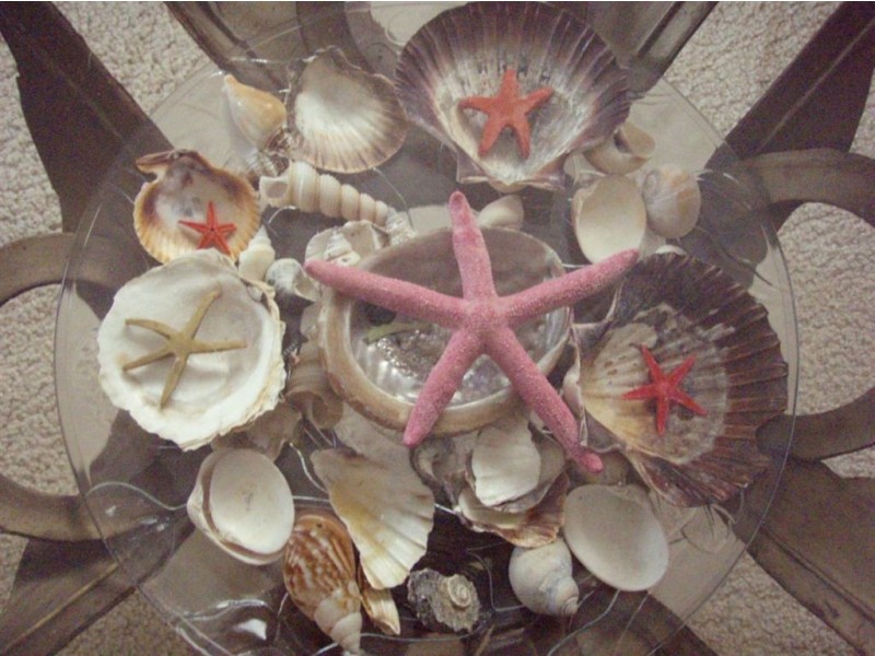 16 Martin Street, Rosebud VIC 3939