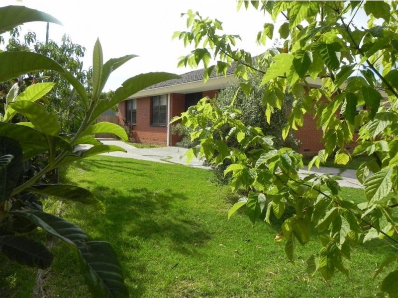 31 Rosalie Avenue, Dromana VIC 3936