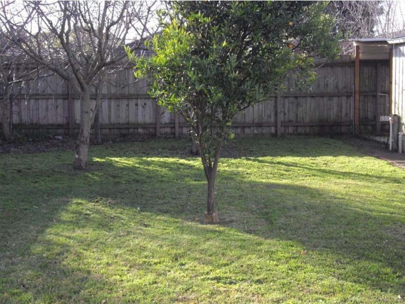 66 Alma Street, Tootgarook VIC 3941