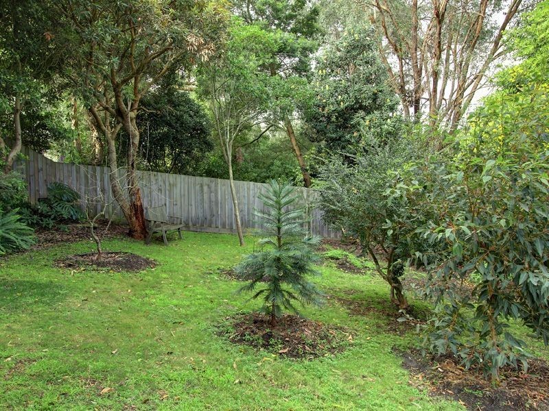 33 Seabrook Ave, Rosebud VIC 3939