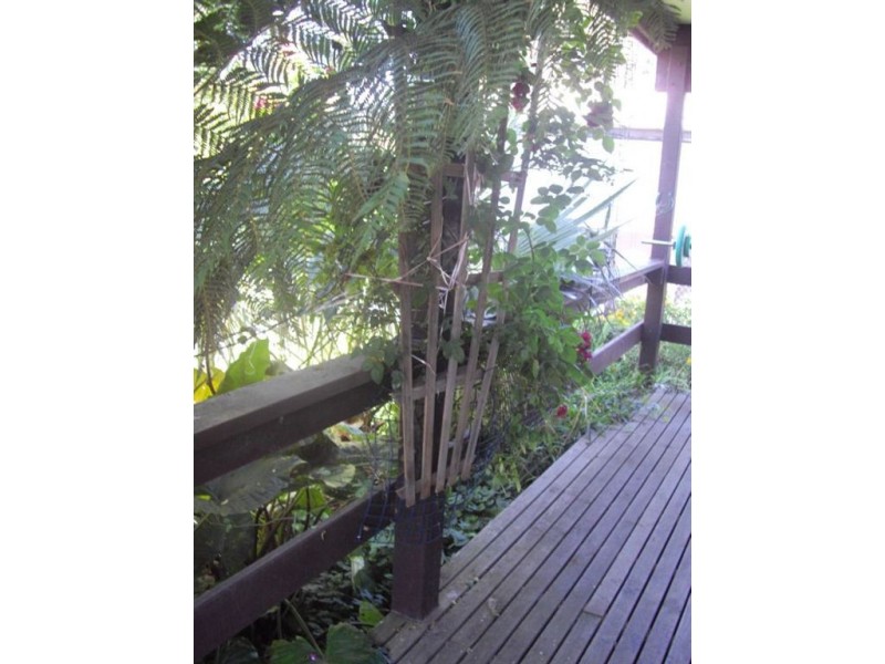 224 Eastbourne Road, Rosebud VIC 3939