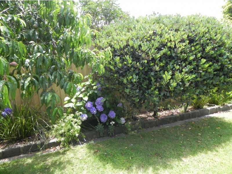 18 Karadoc Street, Dromana VIC 3936