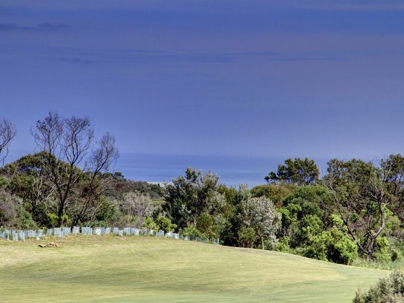 6/2 Harwood Road, Cape Schanck VIC 3939