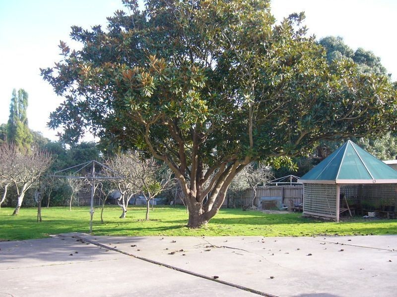 264 Jetty Road, Rosebud VIC 3939