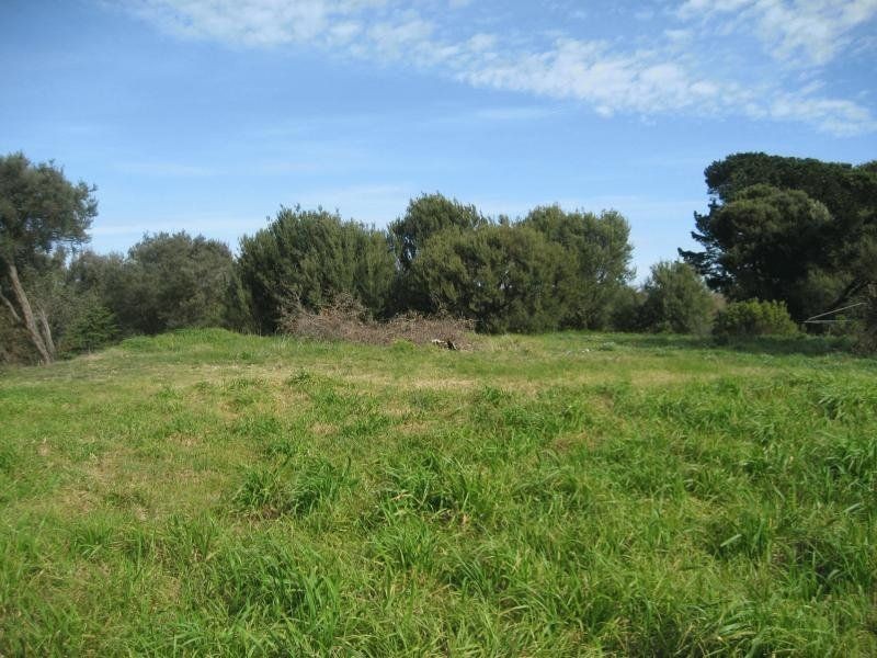 14 Niblick Street, Rye VIC 3941