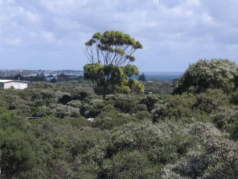 19 Iolanda Street, Rye VIC 3941