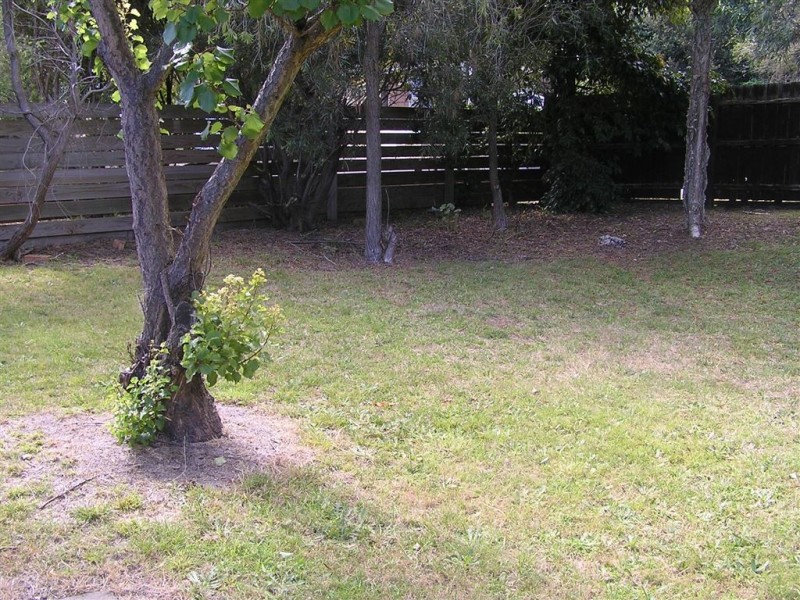 44 Branson Street, Rosebud VIC 3939