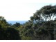 38 Murawa Drive, Rosebud VIC 3939