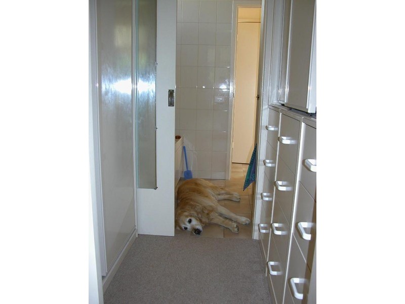 50 The Avenue, Mccrae VIC 3938