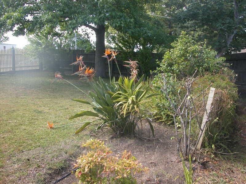 48 Boneo Road, Rosebud VIC 3939