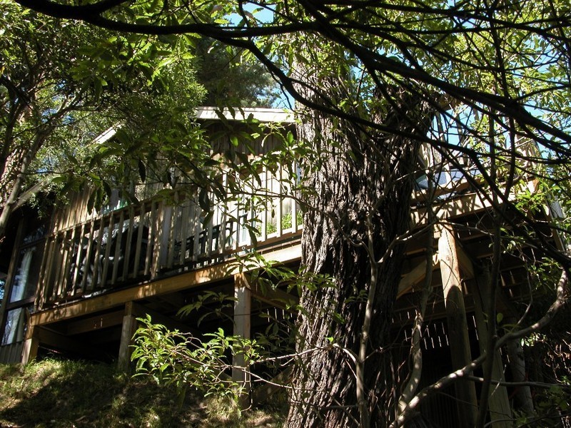 2 Burrell Street, Mccrae VIC 3938