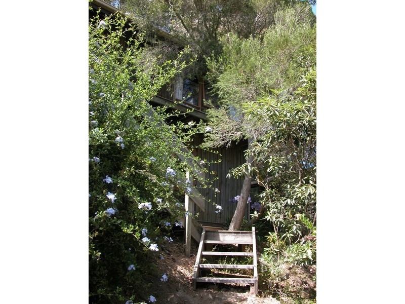 2 Burrell Street, Mccrae VIC 3938