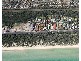 87 Nepean Highway, Seaford VIC 3198